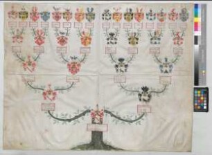 Proband: Donop, Sophia Juliana Wilhelmina von; Vater: Donop, Heinrich Hermann von; Mutter: Groten, Gertrud Dorothea von: [Schildesche, Stift]