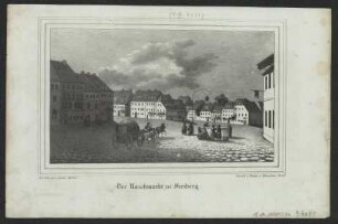 Ansicht vom Freiberger Naschmarkt, Lithographie, um 1840 : Der Naschmarkt zu Freiberg / N. d. Nat. gez. v. J. Möckel. - [Dresden] : [Schmidt] ; [Dresden] : Renner u. Ketzschau , [um 1840]. - 1 Kunstbl. : Lithogr. ; 19 x 12 cm +++ Auch enth. in: Sachsens Kirchen-Galerie, Bd. 2