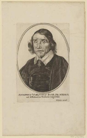 Bildnis des Adolphvs Vorstivs