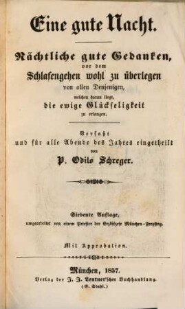 Eine gute Nacht : Nächtliche gute Gedanken vor dem Schlafengehen wohl zu überlegen