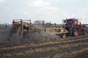 Kartoffelsammelroder E 682 Z für Zwiebelernte