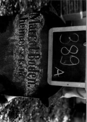 Grabstein 389 (Index: 100111843) Material: Sandstein, weiße Marmorplatte Zustand: gut Maße HxBxT: 62x48x28 cm Beschreibung: Stele, profilierter Sockel, eingezogener Segmentbogenabschluß, rechteckige Schriftplatte Besonderheit: Kindergrab: Grabstein 389A