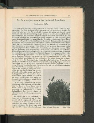 Das Storchenjahr 1964 in der Landschaft Stapelholm.