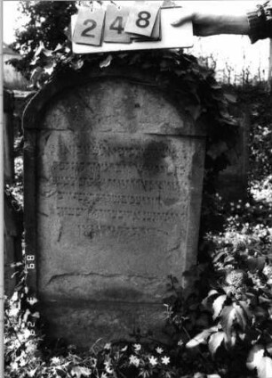 Grabstein 248 (Index: 99791604) Material: gelber Sandstein Maße HxBxT: 105x56x12 cm Besonderheit: kulturhistorisch wertvoll / hist.-wiss. Gründe (Gemeindestellung): Grabstein 248