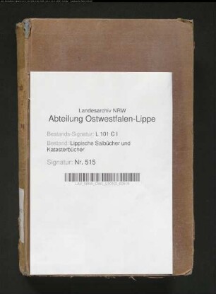 Salbuch der Stadt Blomberg von 1854, Bd. 2 (Duplikat)