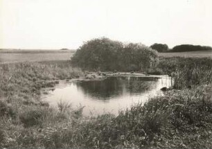 Söll bei Großziethen