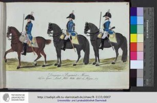 Dragoner Regiment v. Huyne