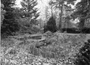 Garten des Wohnhauses Schillerstraße 10; Berlin, Steglitz-Zehlendorf