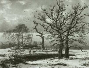 Dänische Winterlandschaft