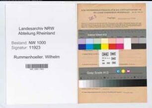 Entnazifizierung Wilhelm Rummenhoeller, geb. 19.08.1892 (Landesoberinspektor)