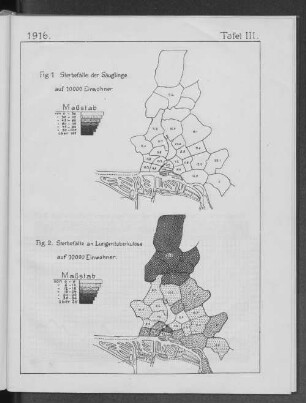 Fig1 Sterbefälle der Säuglinge auf 10000 Einwohner Fig.2. Sterbefälle an Lungentuberkulose auf 10000 Einwohner