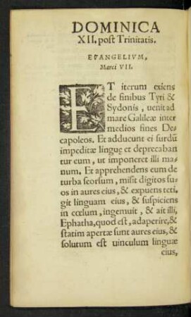 Dominica XII. post Trinitatis.