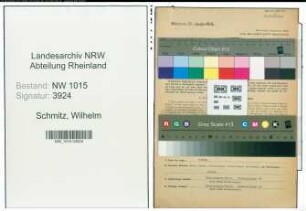 Entnazifizierung Wilhelm Schmitz , geb. 06.09.1902 (Angestellter)