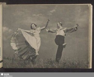 Tanzendes Paar auf Wiese