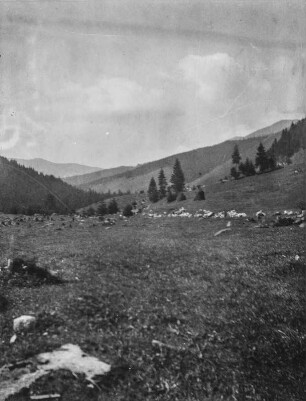 Berghang : Blick auf einen Berghang