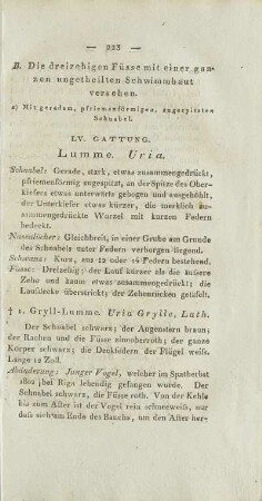 LV. Gattung. Lumme. Uria