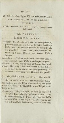 LV. Gattung. Lumme. Uria