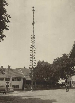 Peiting. Ein Maibaum ist aufgestellt