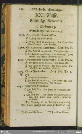 XXI. Classe. Einhäusige. Monoecia