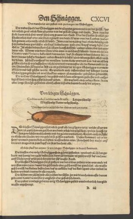 Von ledigen Schnäggen. Cochlea nuda, Cochlea nuda & ruffa. Lediger schnäg/ Wägschnäg/ Rotter wäg schnäg.