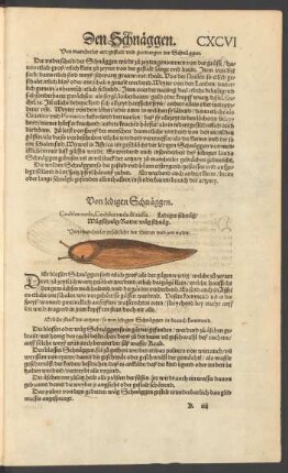 Von ledigen Schnäggen. Cochlea nuda, Cochlea nuda & ruffa. Lediger schnäg/ Wägschnäg/ Rotter wäg schnäg.