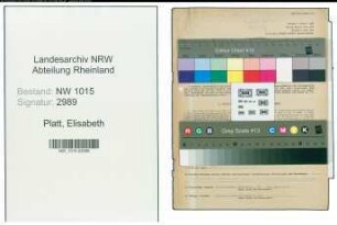 Entnazifizierung Elisabeth Platt , geb. 18.03.1920 (Hausdame)