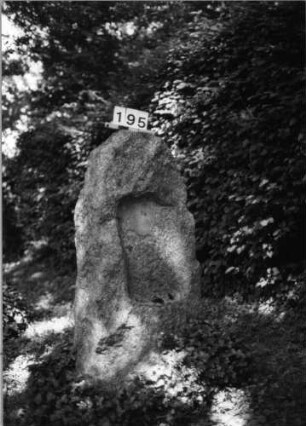 Grabstein 195 (Index: 100085281) Zustand: Schriftplatte entfernt Maße HxBxT: 127x43x30 cm Beschreibung: grob stelenhaft behauener Stein, Schriftplatte: Grabstein 195