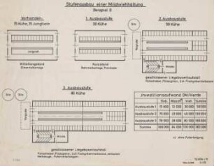 Stufenausbau einer Milchviehhaltung (Beispiel II)