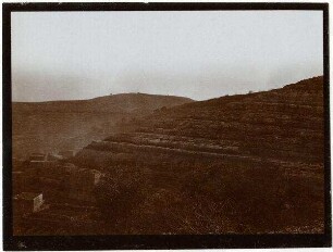 bettir v. SW [Wadi Bettiir]