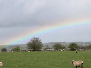 Regenbogen