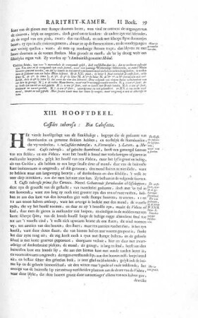 XIII. Hooftdeel. Cassides tuberosae: Bia Cabesette