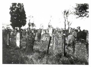 Külsheim, TBB; Jüdischer Friedhof, Gräber