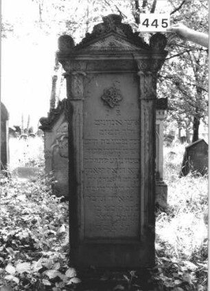 Grabstein 445