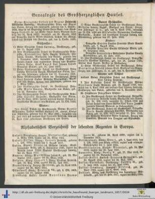 Genealogie des Großherzoglichen Hauses.
