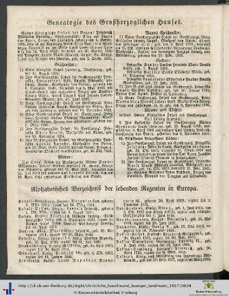 Genealogie des Großherzoglichen Hauses.