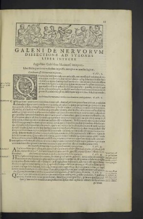 Galeni de nervorum