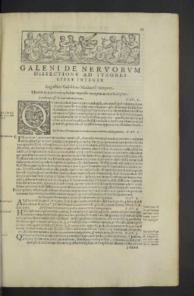Galeni de nervorum