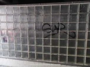 SyR