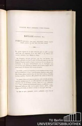 Traité des arbres fruitiers. Royale d'hiver. Duh. Pyrus regalis, fructu magno, subpyramidato, ventricoso, superficie inaequali, punctato, hinc dilutè rubro, indè citrino, brumali.