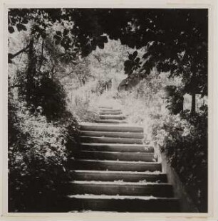 Garten von Hofmannsthals Rodauner Haus, Treppe