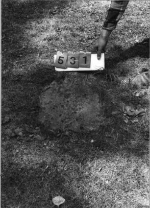 Grabstein 531 (Index: 99789145) Material: Sandstein Zustand: Fragment Besonderheit: Kindergrab: Grabstein 531