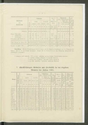 V. Eheschließungen, Geburten und Sterbefälle in den einzelnen Monaten des Jahres 1901.
