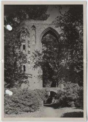 Greifswald, Zisterzienserkloster Eldena