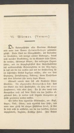 VI. Wuermer. (Vermes.)