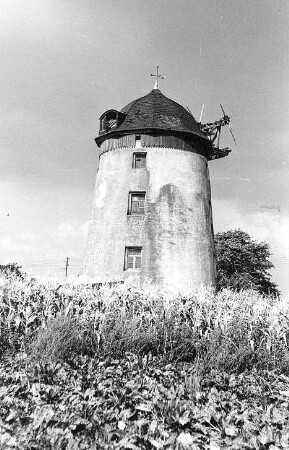 Thümmlitzwalde-Nauberg. Turmholländer