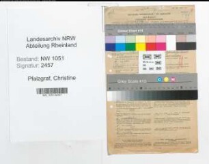Entnazifizierung Christine Pfalzgraf , geb. 12.01.1900 (Angestellte)