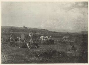Kartoffelernte