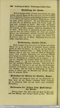 Verbrühen der Pfoten bei Hunden, Katzen