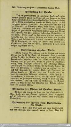 Verbrühen der Pfoten bei Hunden, Katzen