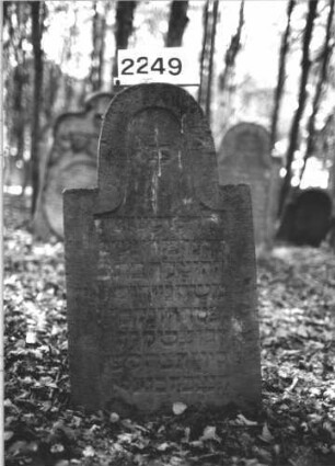 Grabstein 2249